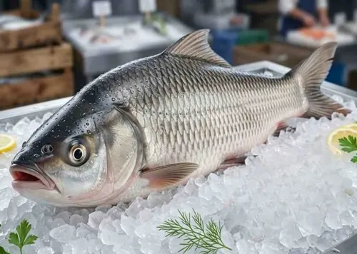 Surma Fish Hilsa